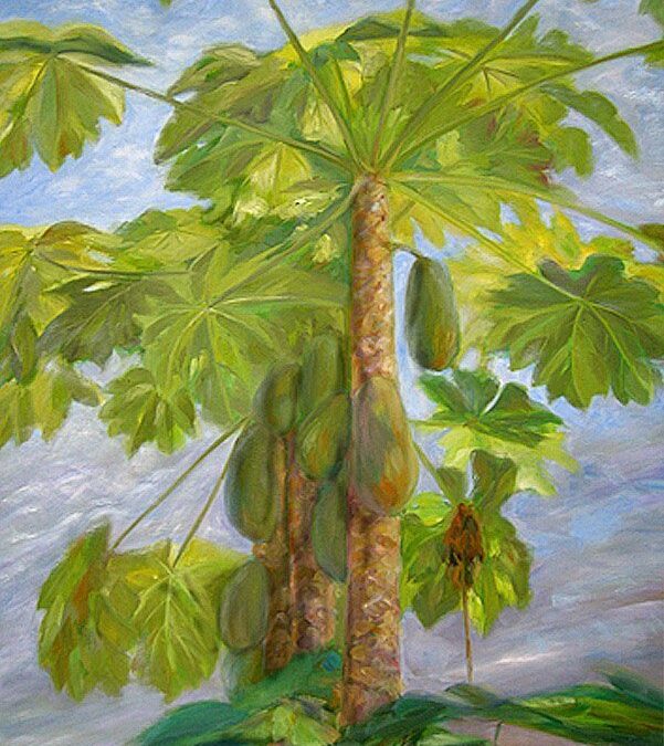 Papaya – Painting – Jhun Ciolo Diamante