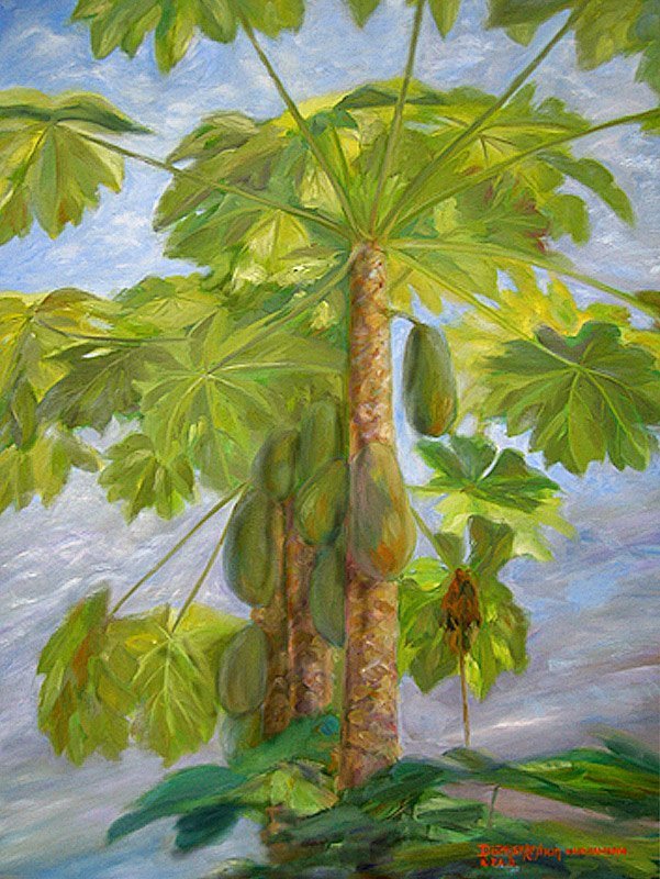 Papaya